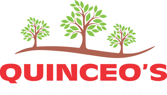 Quinceo's logo with three green trees above red brand text