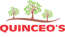 Quinceo's logo with three green trees above red brand text