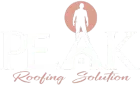 Logo with white silhouette inside peach circle and cursive text reading &ldquo;Roofing Solution&rdquo;