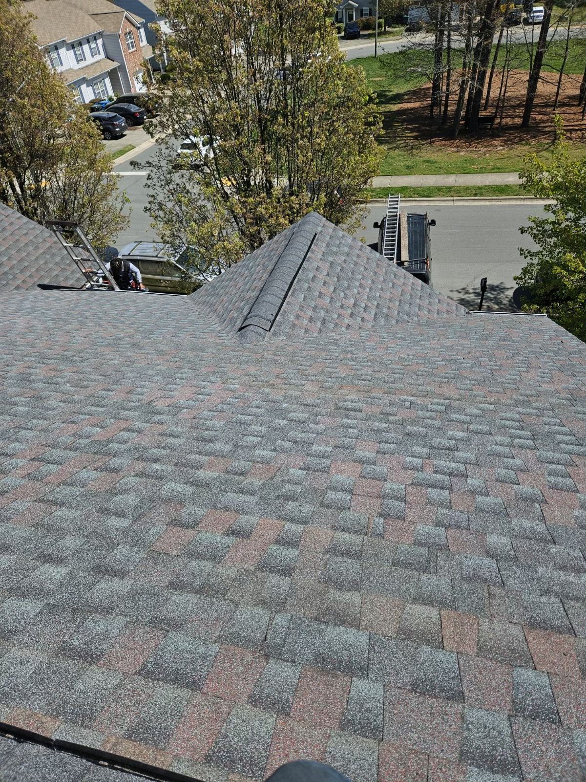 Roof shingles with a steep ridge, overlooking trees and a residential street