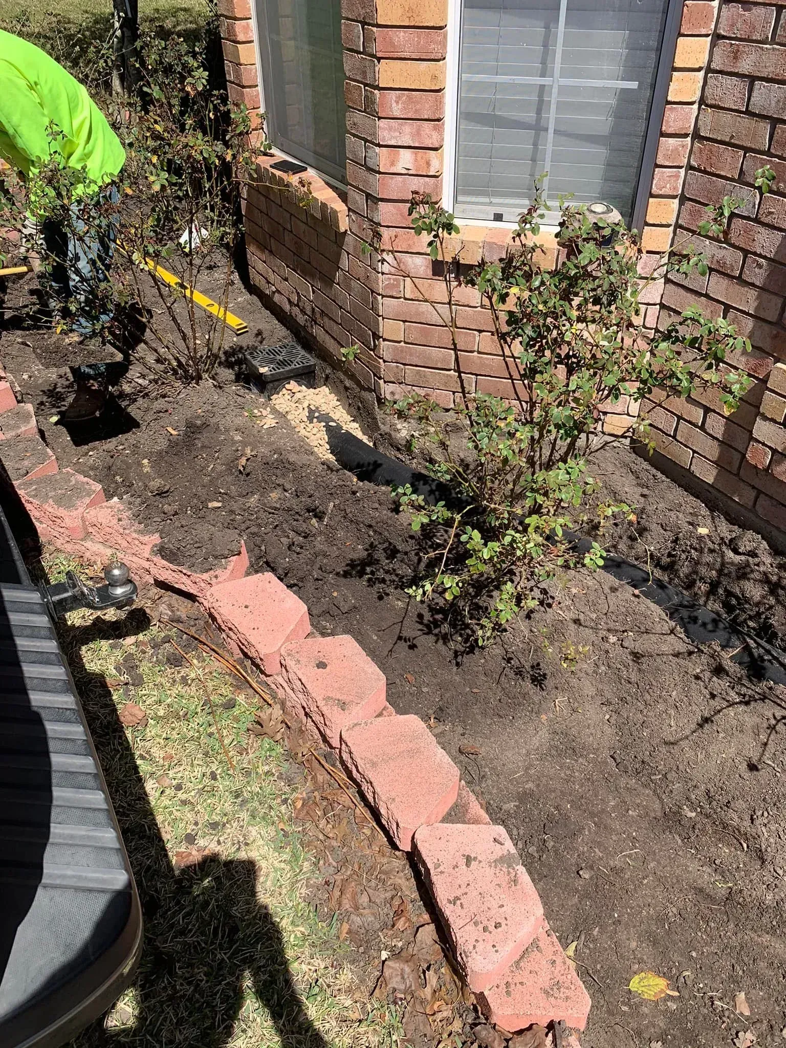 Brick house side yard with a young shrub, mulched soil, and a curved red brick border near a window
