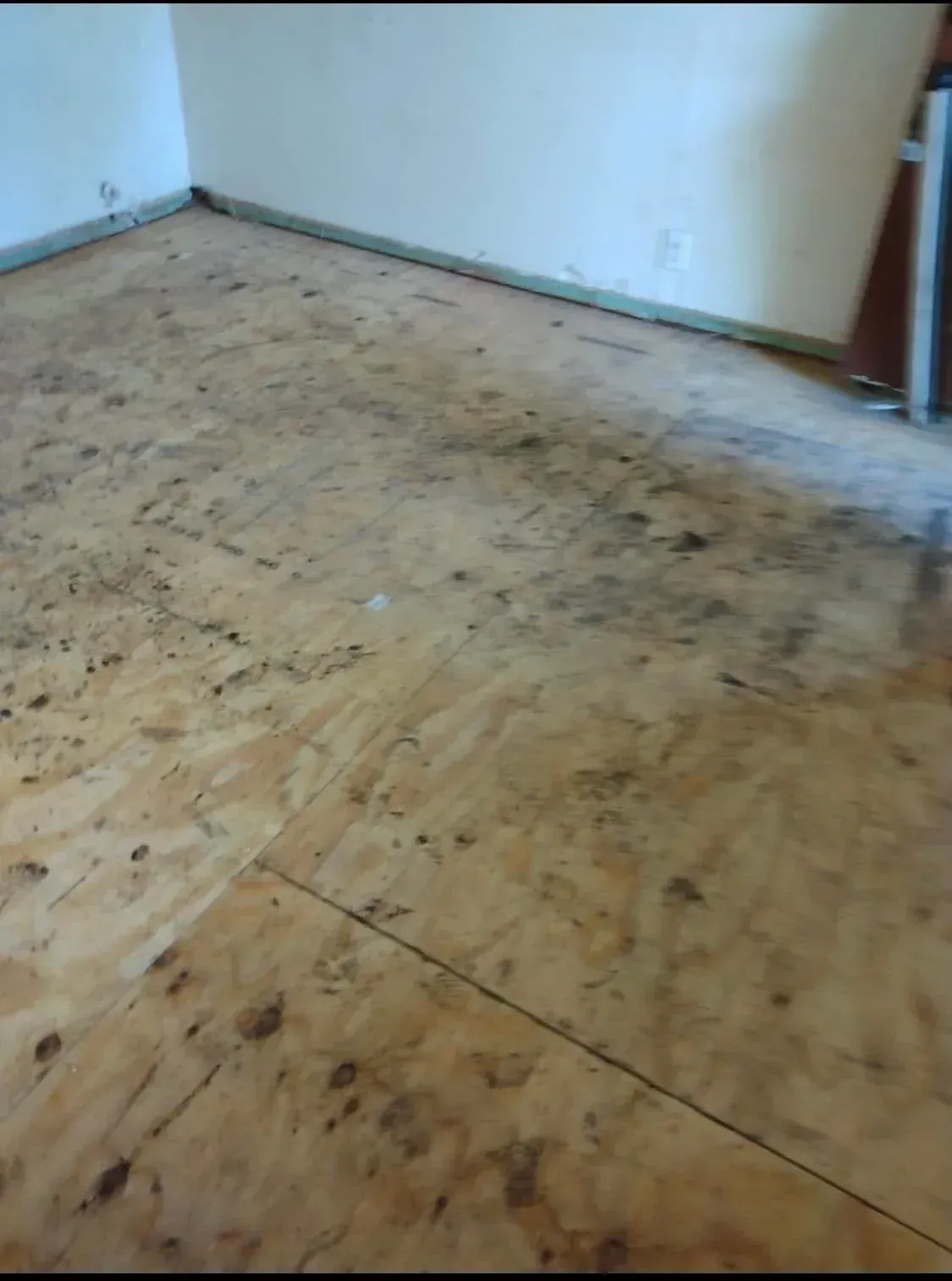 Empty room with unfinished plywood subfloor and white walls
