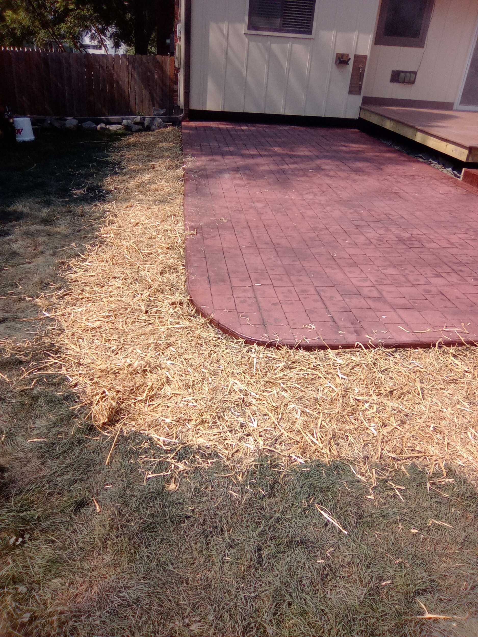 Backyard patio with red pavers beside a dry, patchy lawn and a white shed door