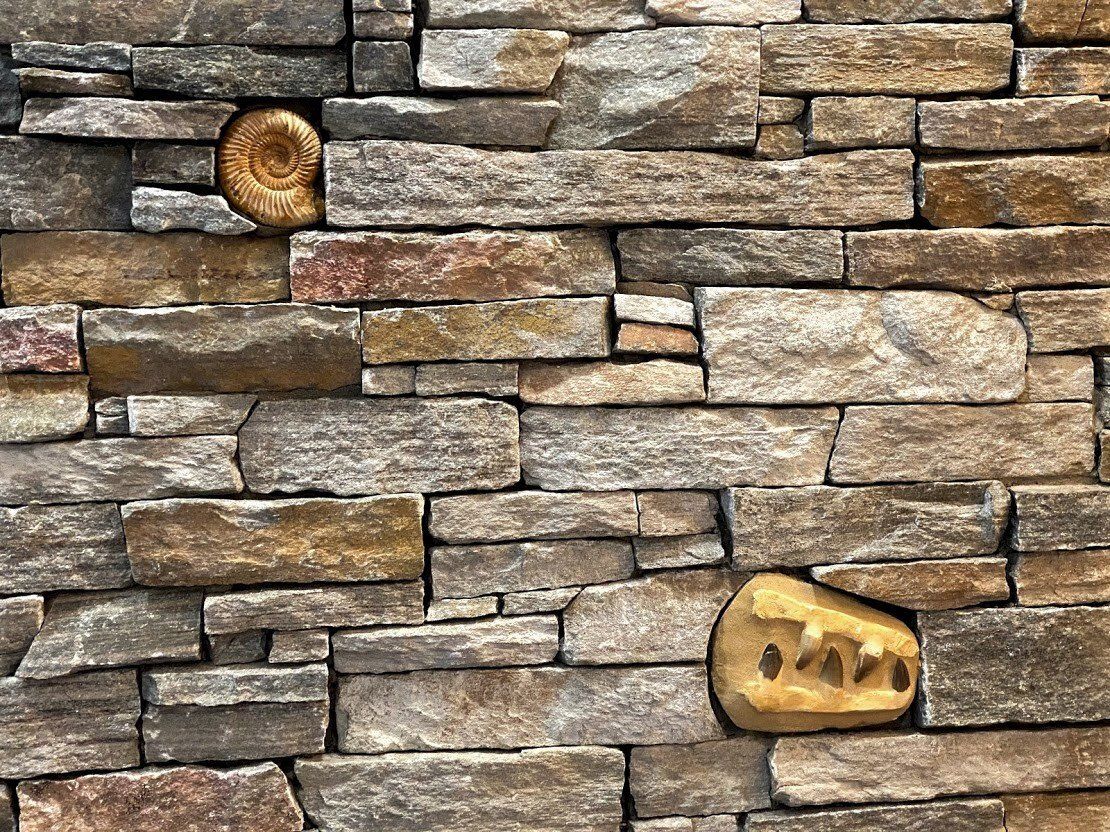 Two small yellow snail shells on a gray stacked-stone wall