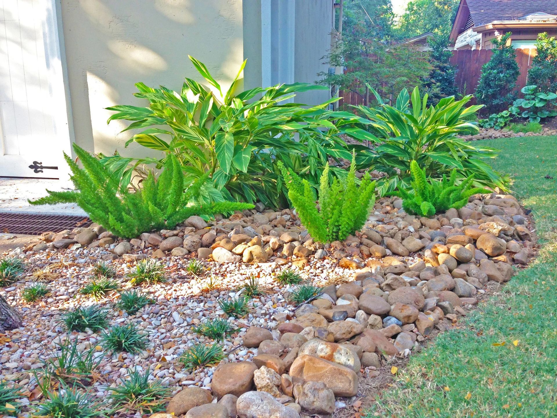 A garden bed features large tropical plants, green ferns, and river rocks lining the edge next to a lawn.