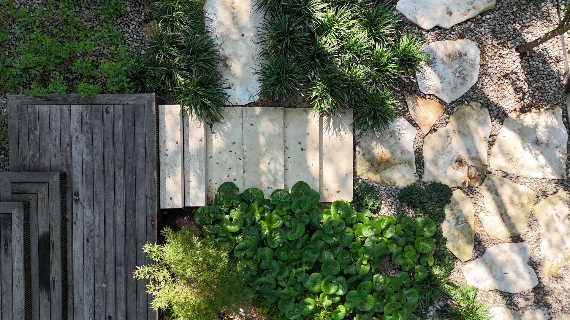 An overhead view of a garden path featuring rectangular wooden planks, light-colored pavers, and green foliage.