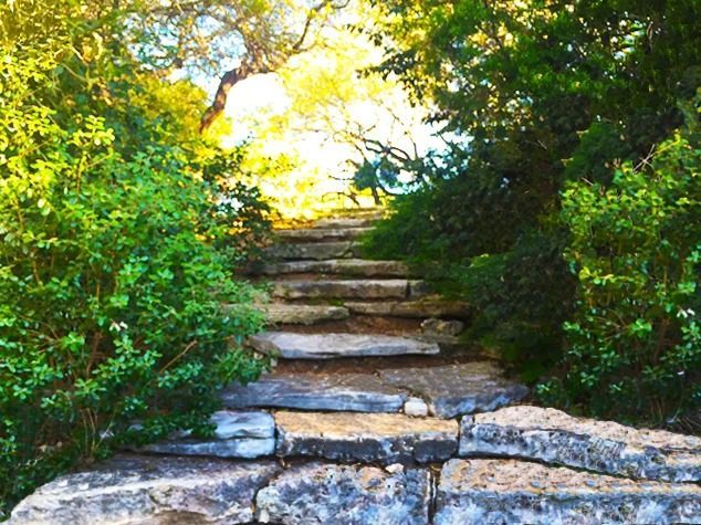 Stone steps lead upward through a lush, sunlit garden path surrounded by green trees and foliage.