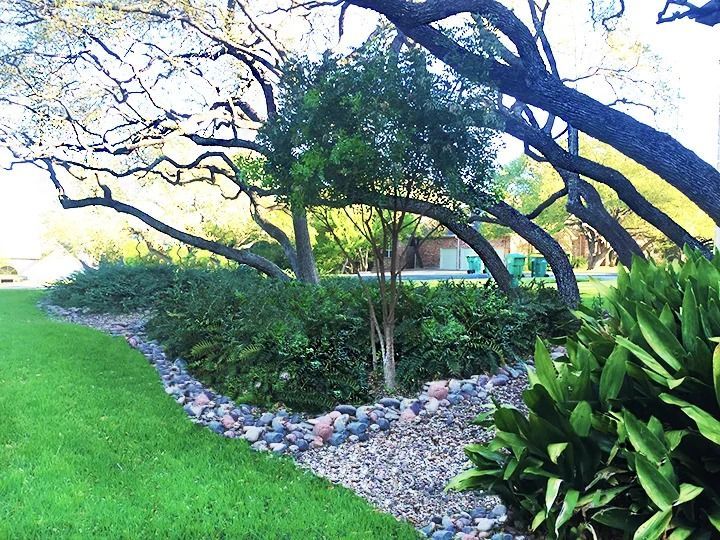 A large, arching tree shades a lush garden bed bordered by decorative river rocks next to a green lawn.
