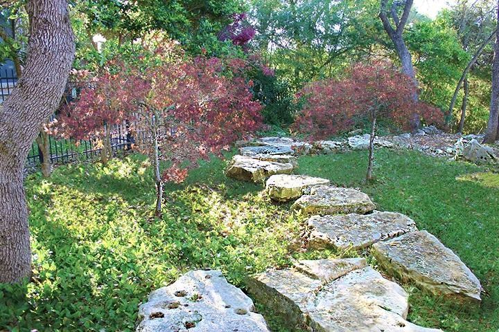 A stone path winds through a garden with green grass, low ground cover, and small red Japanese maple trees.