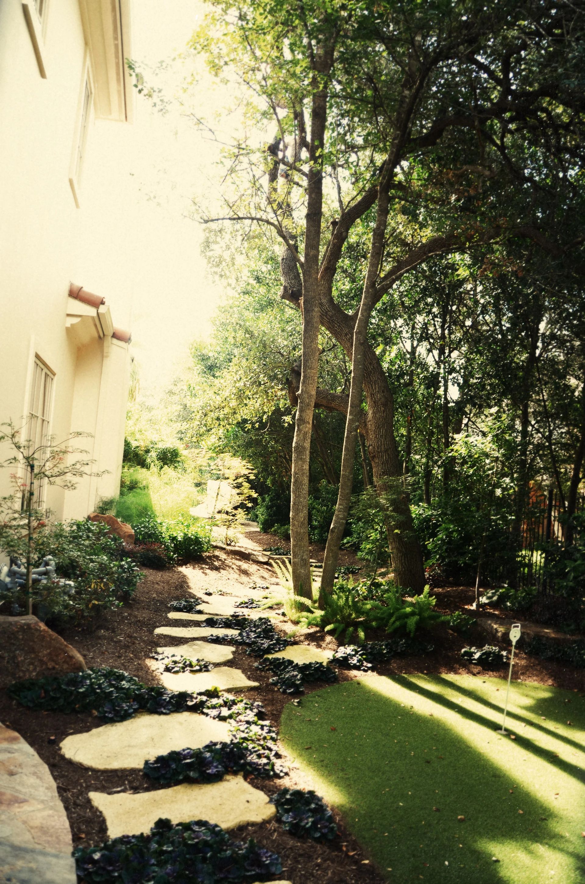 Stone path through garden with trees and building. Sunlight creates shadows.