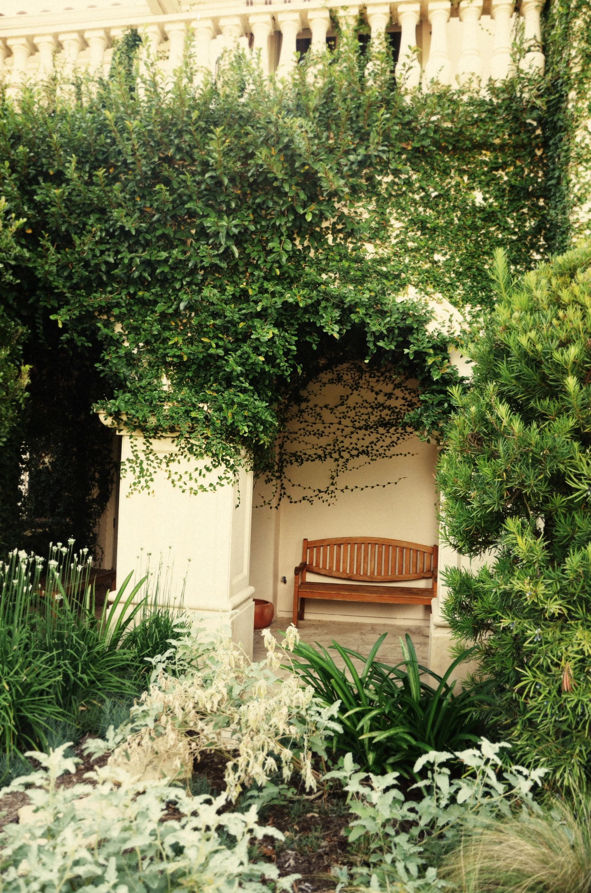 Wooden bench nestled in a shaded garden alcove, lush green vines, light-colored walls.