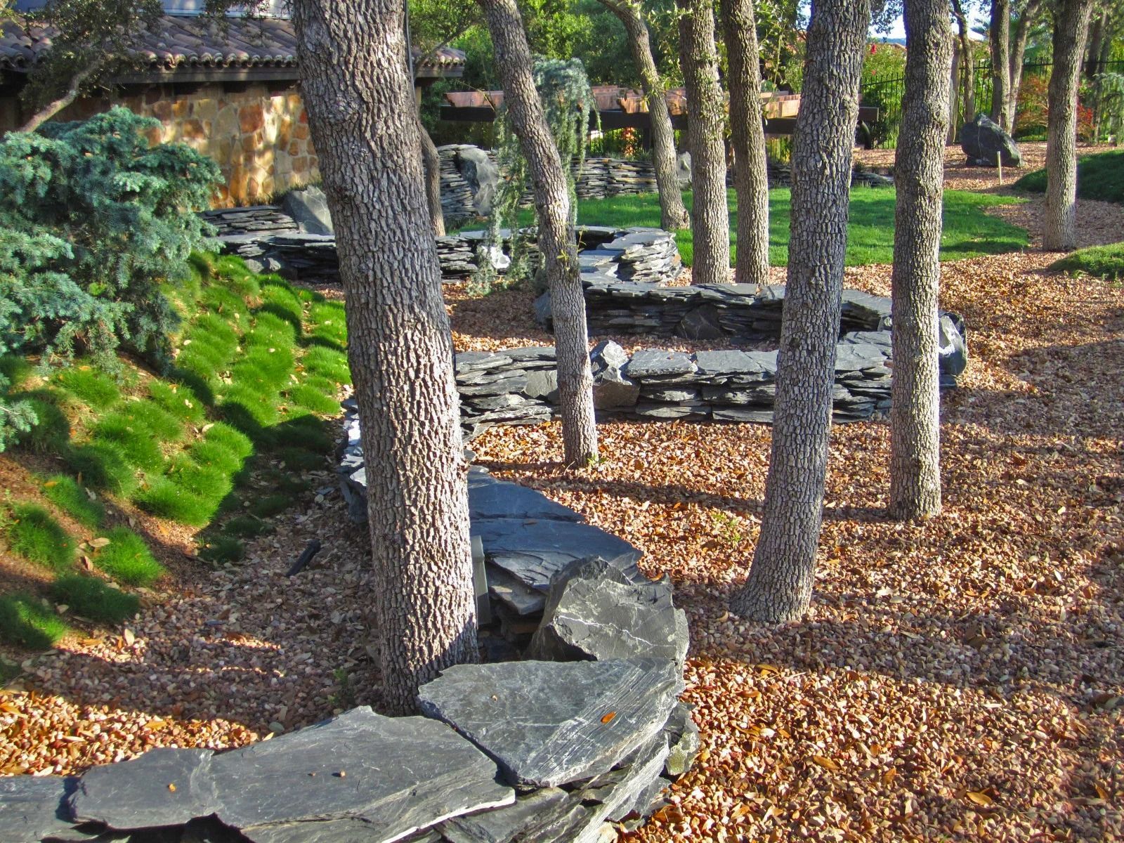 A winding stone retaining wall curls through a wooded landscape with patches of green moss and ground covered in dry leaves.