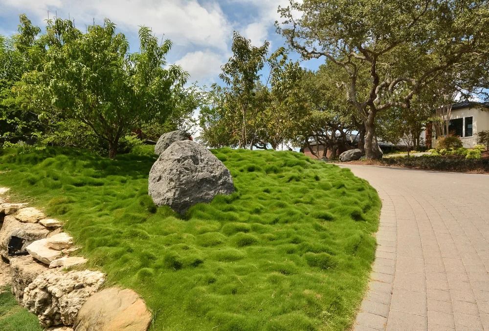 A stone-paved path curves past a green, grassy mound featuring a large, grey boulder in a landscaped garden with trees.