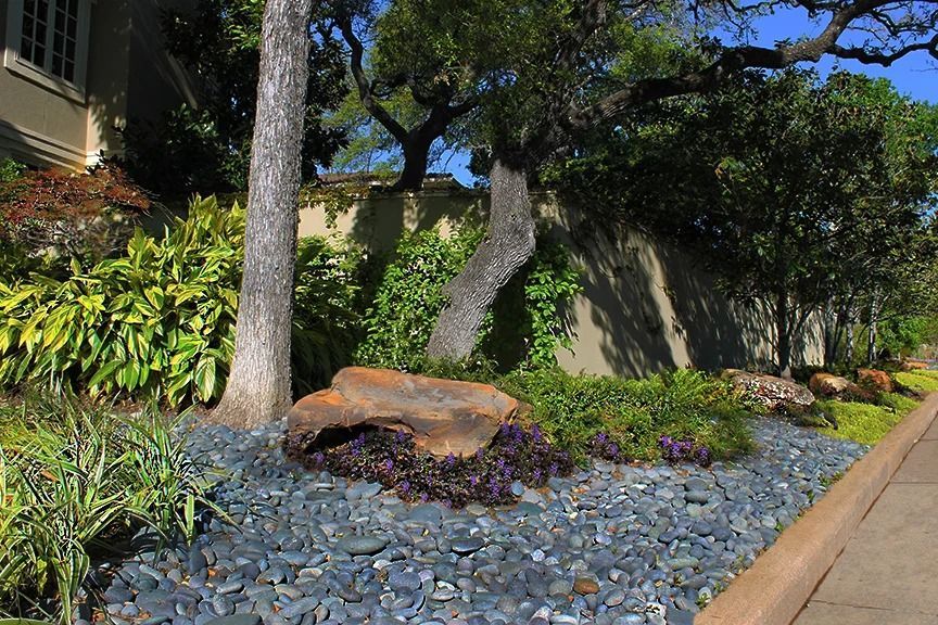 A sunny landscaped garden featuring a large rock, dark stone mulch, lush green plants, and trees near a beige wall.