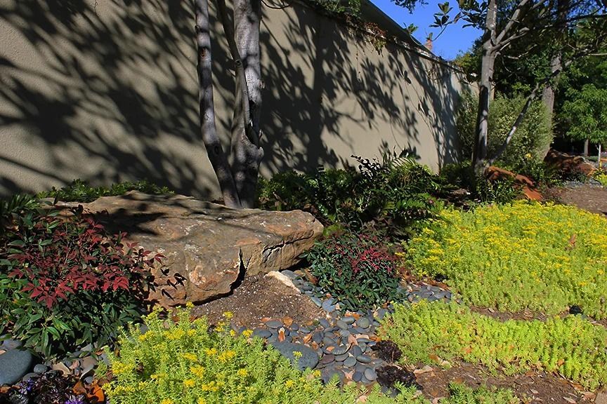 A garden bed with a large stone, yellow and red plants, against a wall with tree shadows.