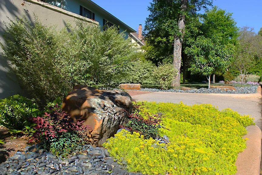 A rock garden with yellow flowering plants, dark slate, and green bushes against a light-colored building.