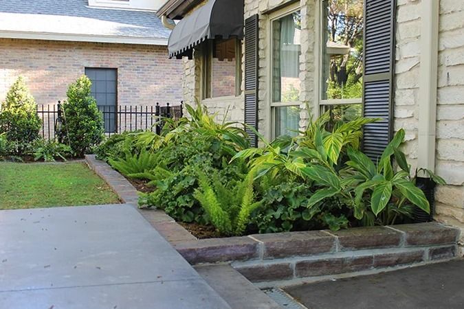 Lush green ferns and tropical plants growing in a brick-lined garden bed next to a stone-walled house.