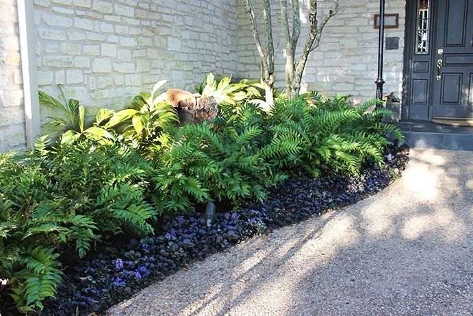 A flower bed with ferns and purple flowers against a stone wall next to a house entrance.