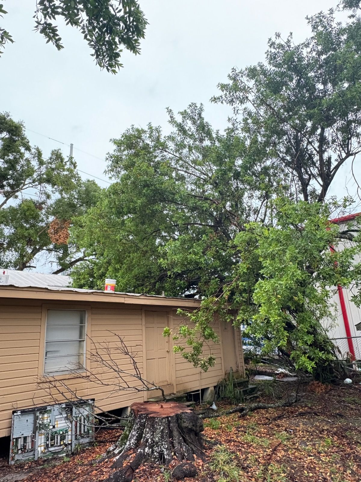 Fallen tree leaning on a tan house after storm, with damaged roof and yard debris.