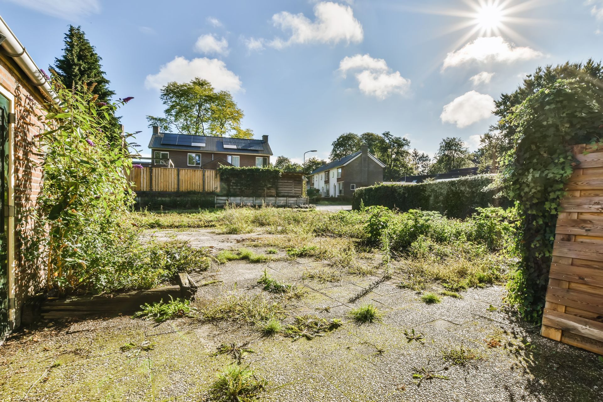 Overgrown backyard with brick walls, ivy, and a house under a bright sunny sky