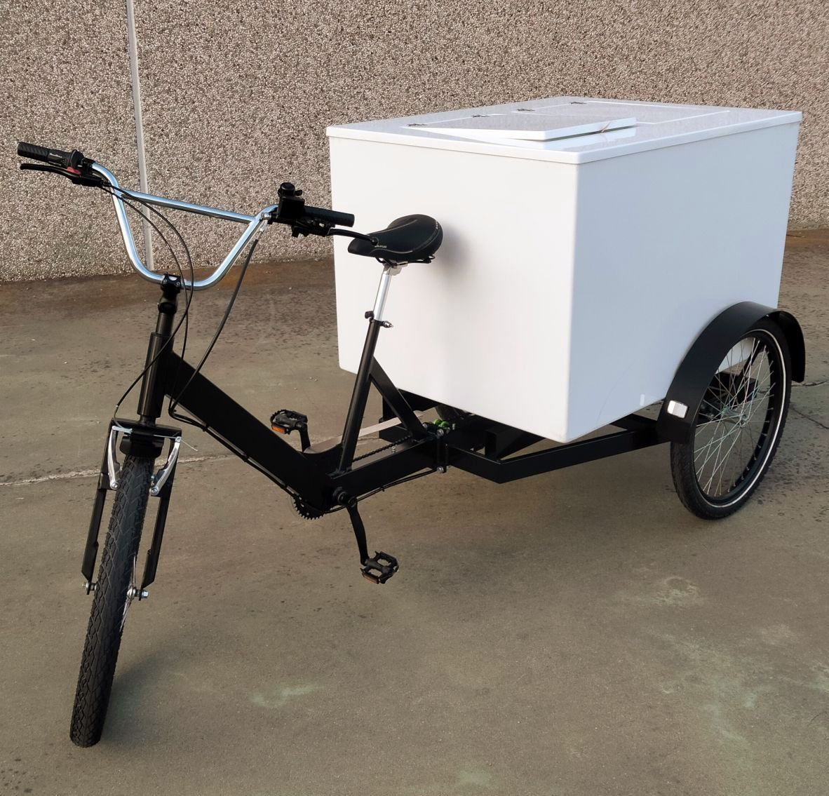 Cargo Bike con Cassone in Vetroresina per trasporto di Bibite e Alimenti freschi o Spesa a casa