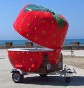 Chiosco speedy rimorchiabile o fisso in vetroresina per Bar cocktail frullati crepes ambulante street food truck