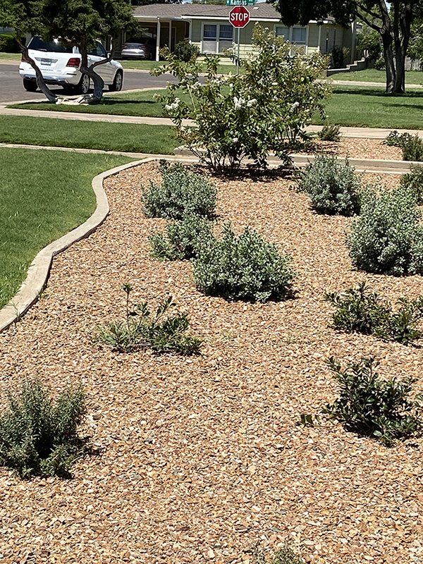 Curved gravel landscape bed with small shrubs beside a grassy yard and street