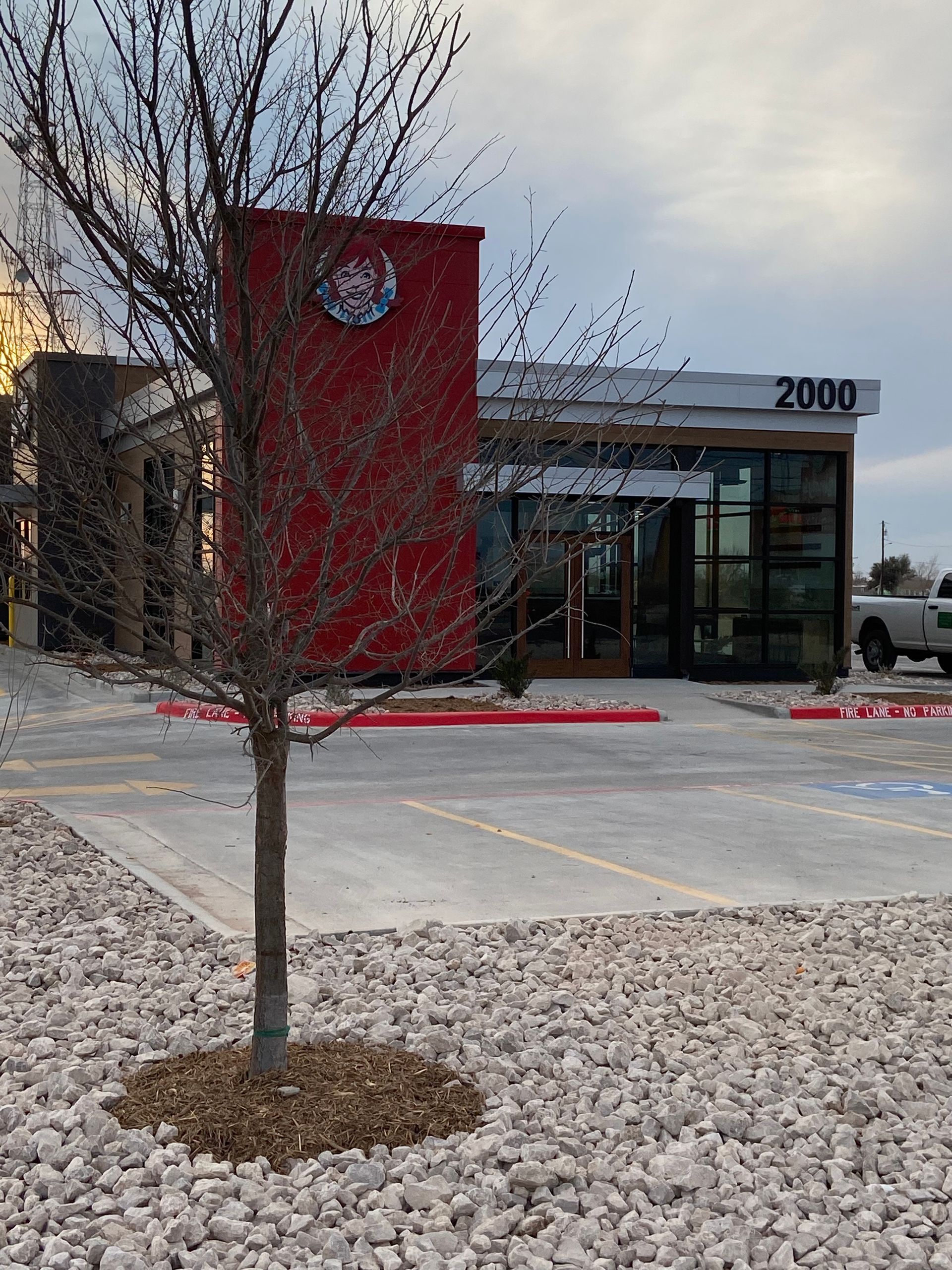 Leafless tree in a gravel bed outside a modern building with a red facade and glass entrance.