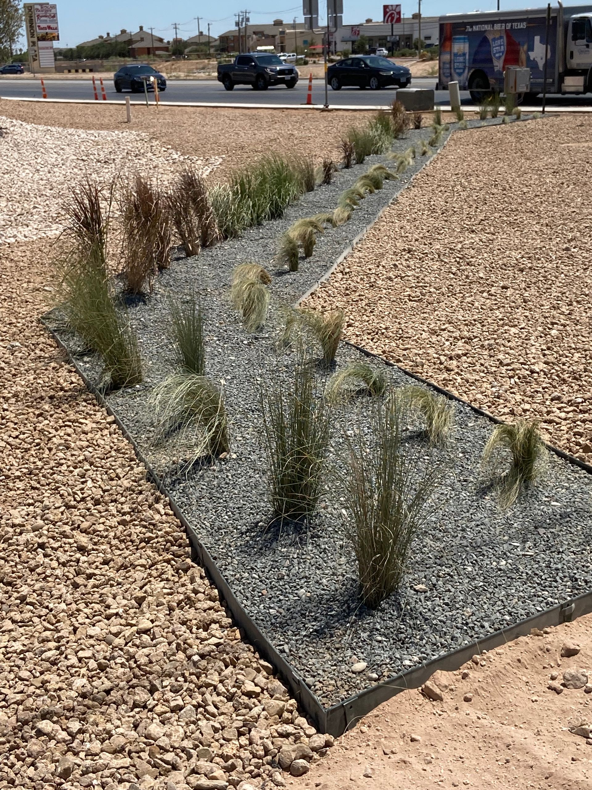 Xeriscape landscape with gravel beds and small desert plants beside a road and parking lot.