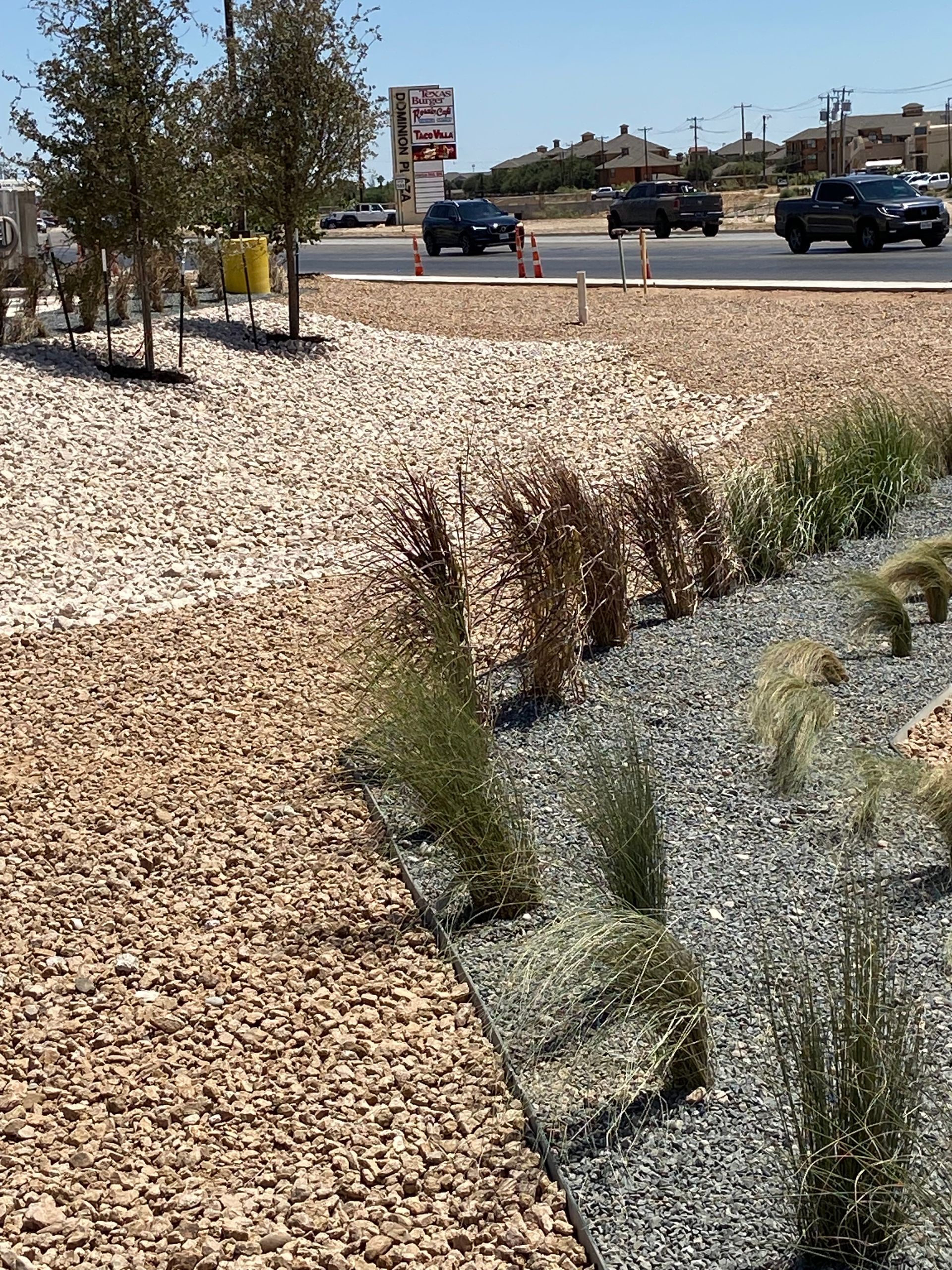 Landscaped roadside with gravel, shrubs, and cars driving past under a sunny sky