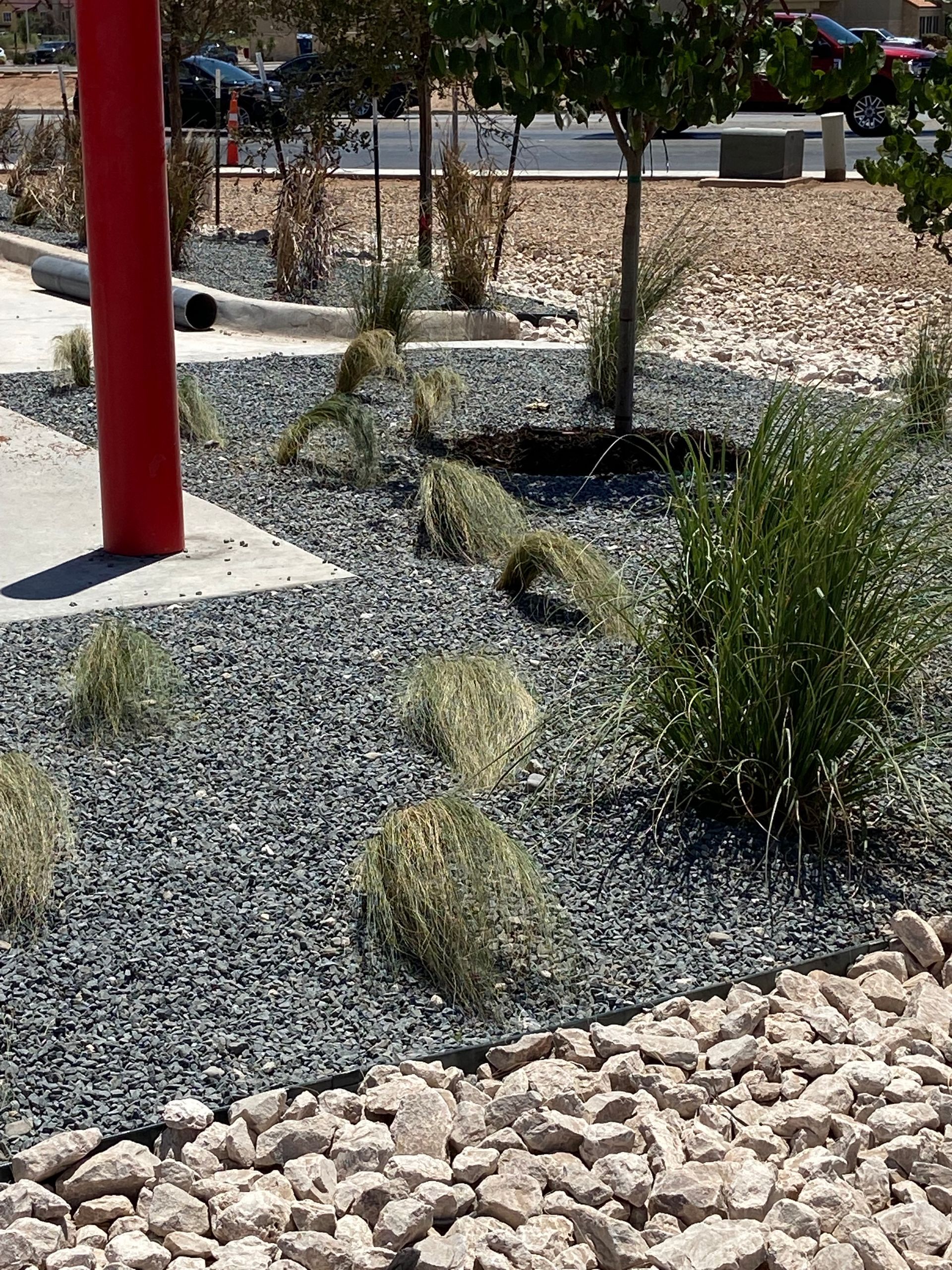 Landscaped garden with gravel, small shrubs, and a red post in the foreground