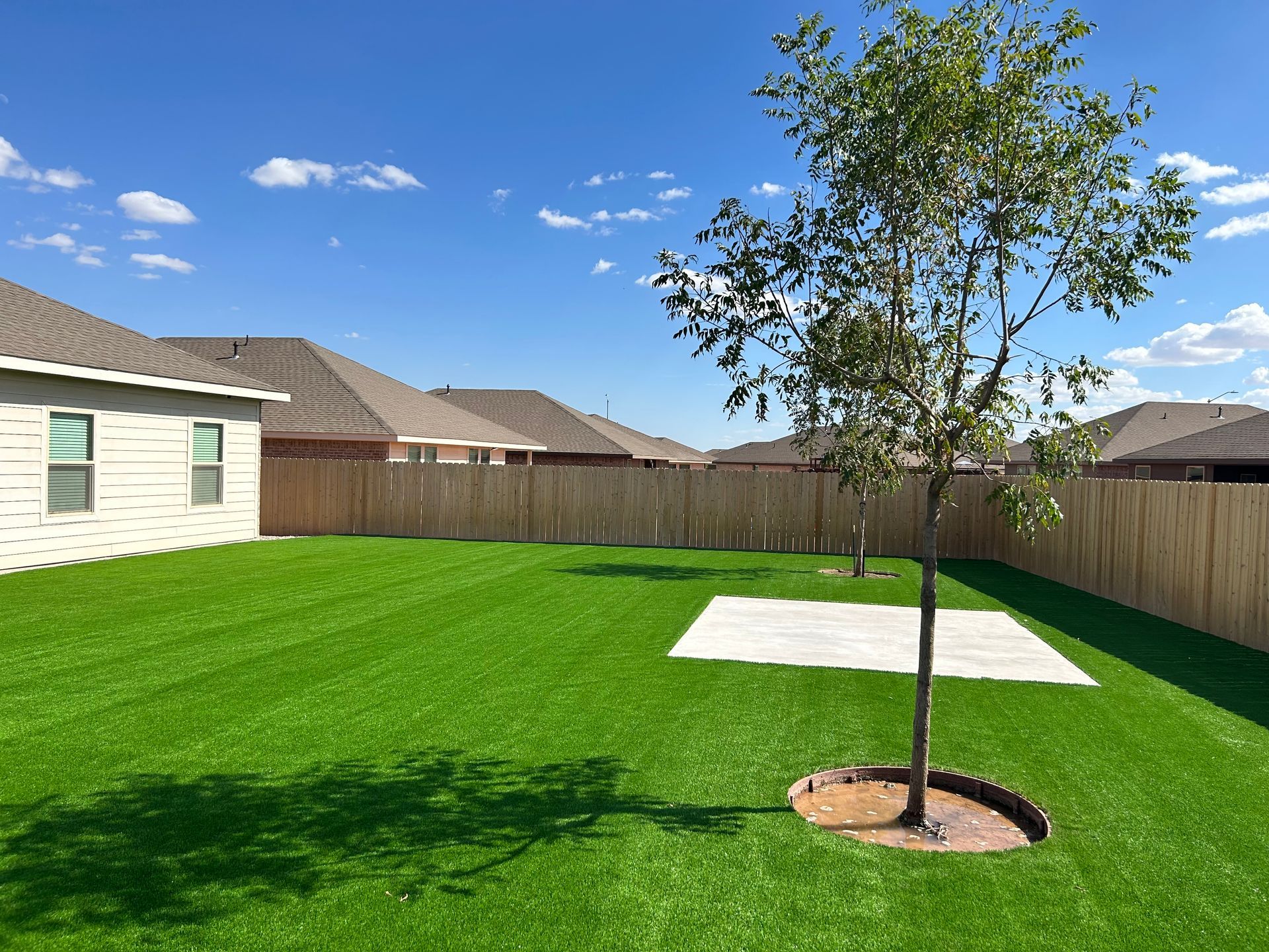 Backyard with bright green lawn, young tree, wooden fence, and suburban houses under a clear blue sky