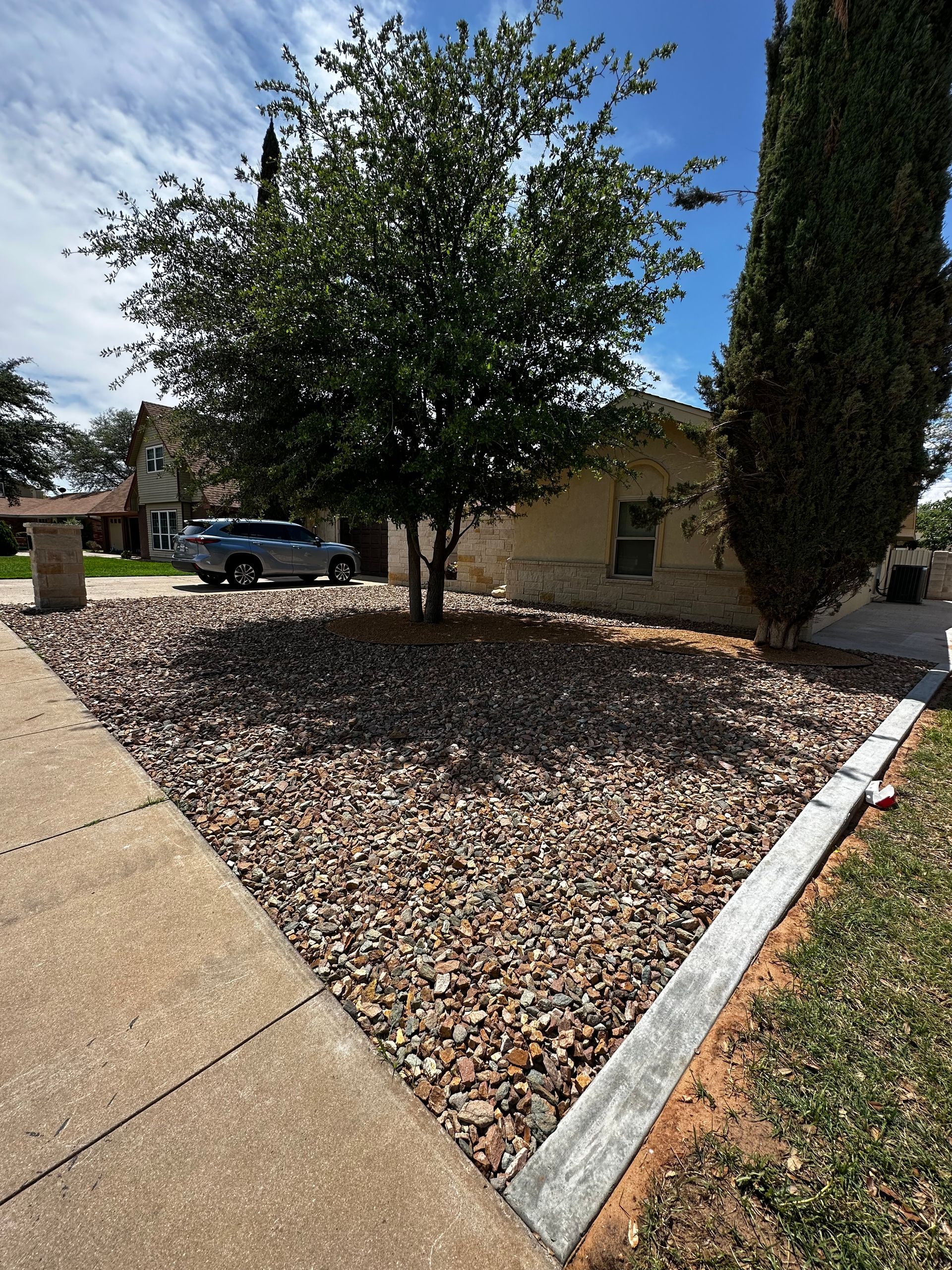 Front yard with a small tree, rock landscaping, concrete driveway, and a tall cypress beside a house.