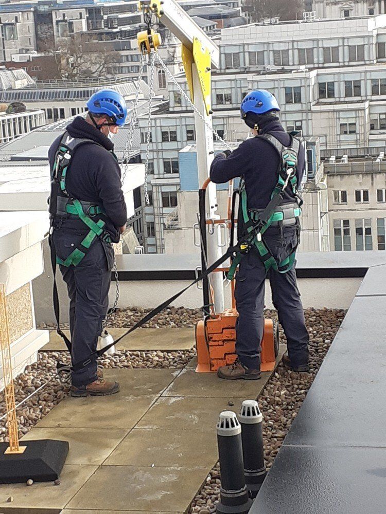 Fall protection systems