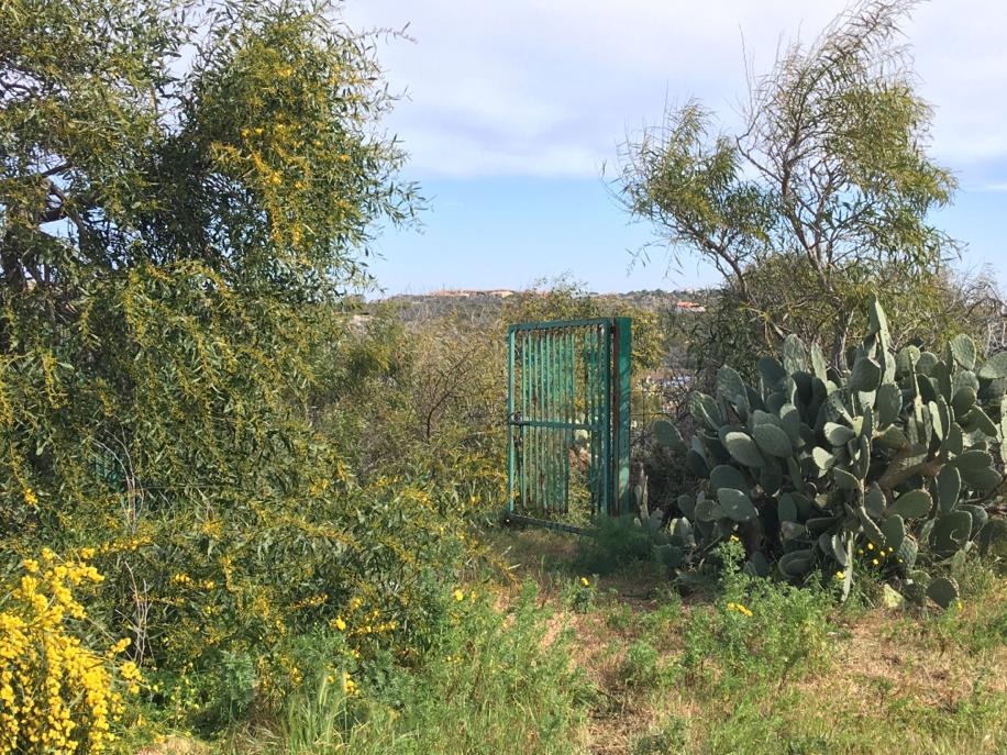 pulizia terreno