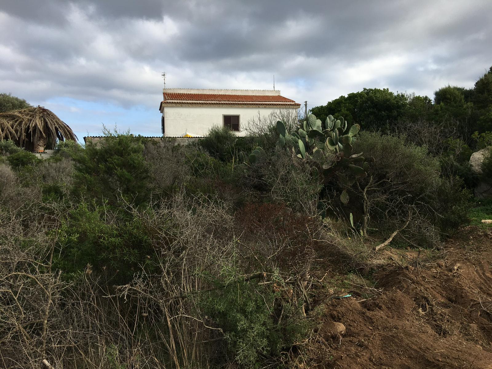 Pulizia terreni con trincia forestale