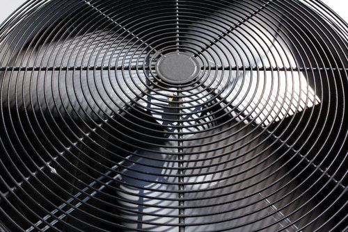 Fan