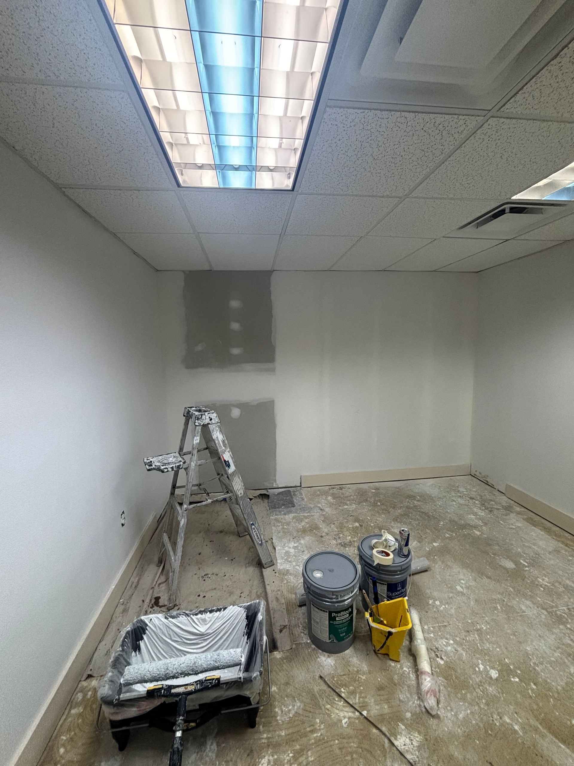 Professional interior painting services transforming a winterpark office space with smooth walls, clean lines, and a flawless finish.
