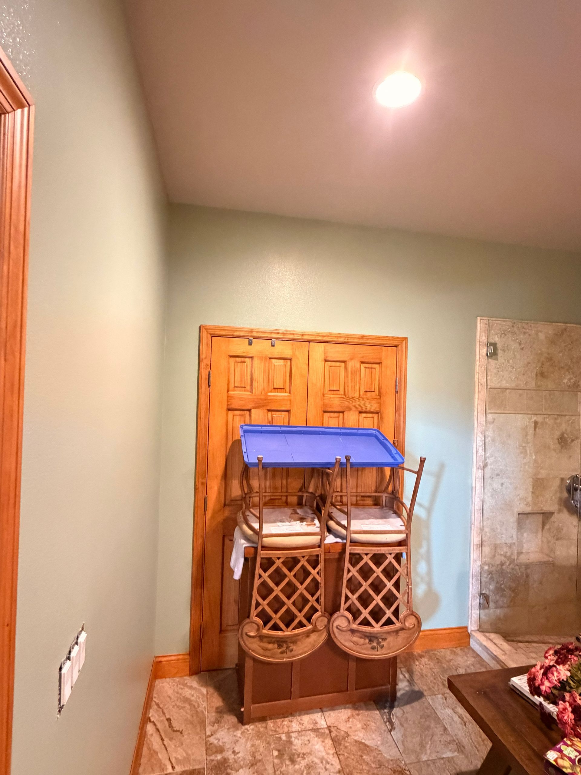 after painting guest bathroom