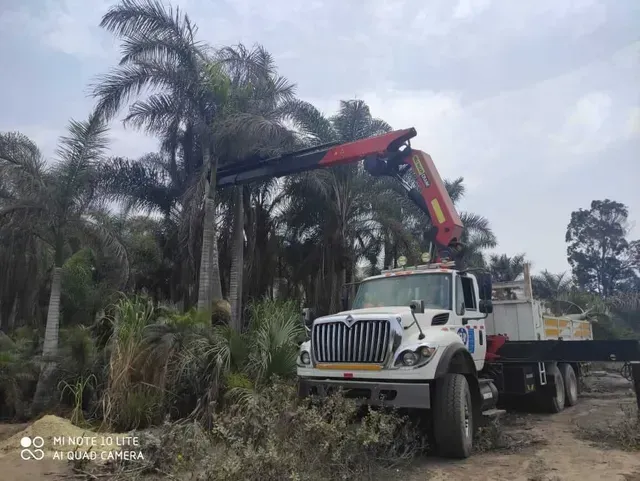 Camión volquete blanco con grúa roja levantando maleza junto a palmeras en la cuneta.