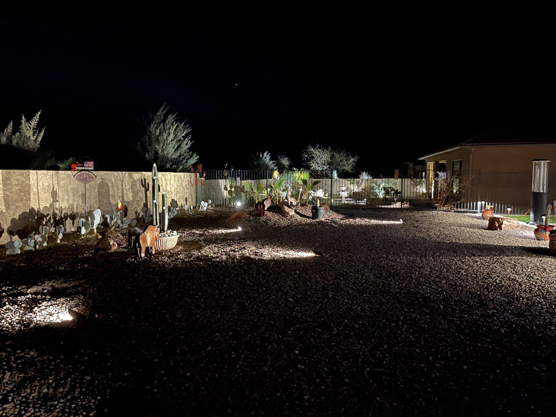 A nighttime view of a desert garden with illuminated cacti and a gravel path.