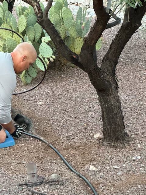 Man installing irrigation tubing near a tree and cactus in a desert landscape.