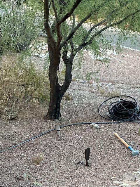 Tree trunk with dark branches, black hose coiled, a black stake, and a hammer on gravel.