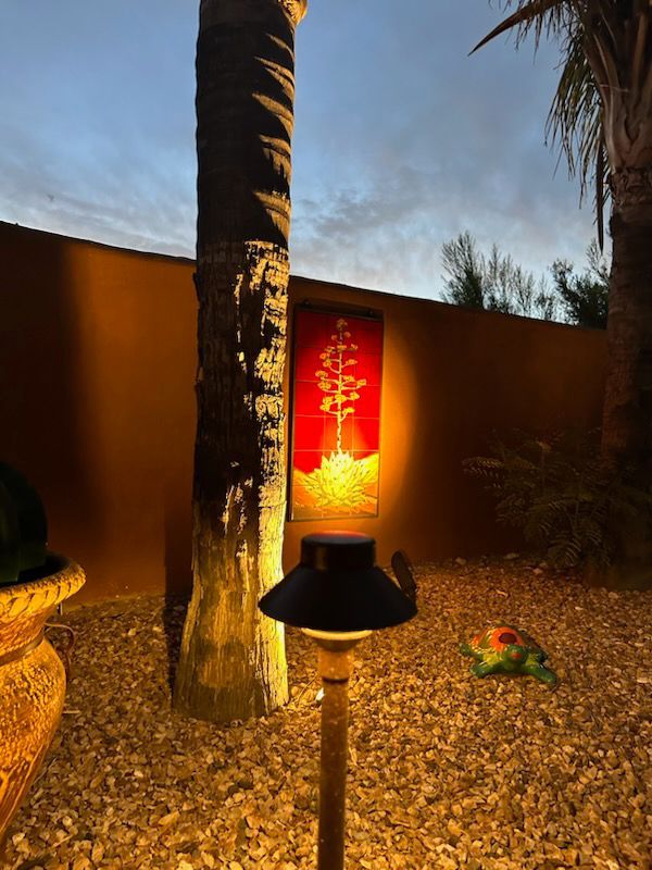 Outdoor scene with a palm tree, a wall, and a decorative red artwork illuminated by a spotlight.