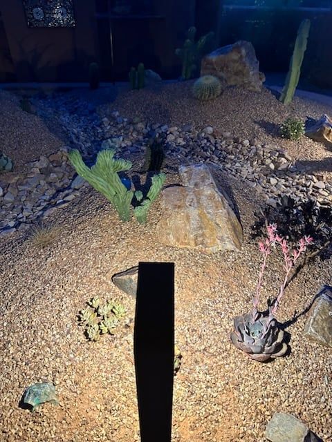 Desert landscape at night with illuminated cacti, rocks, and gravel.