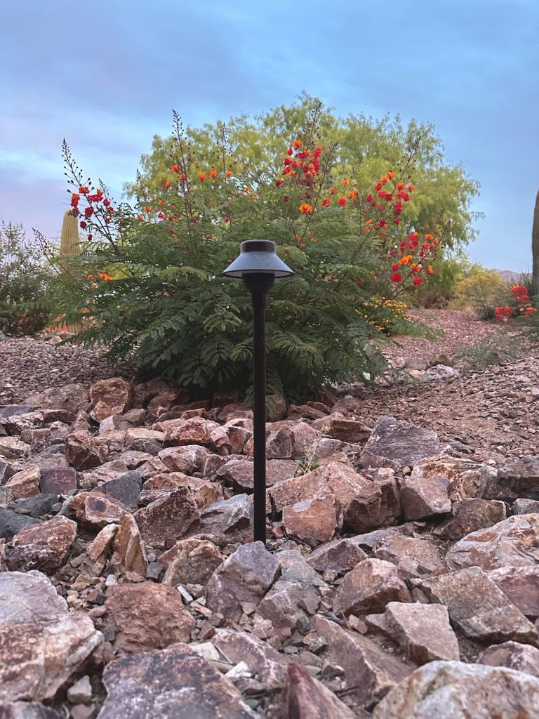 Landscape lighting in rocky desert yard with flowering shrub.