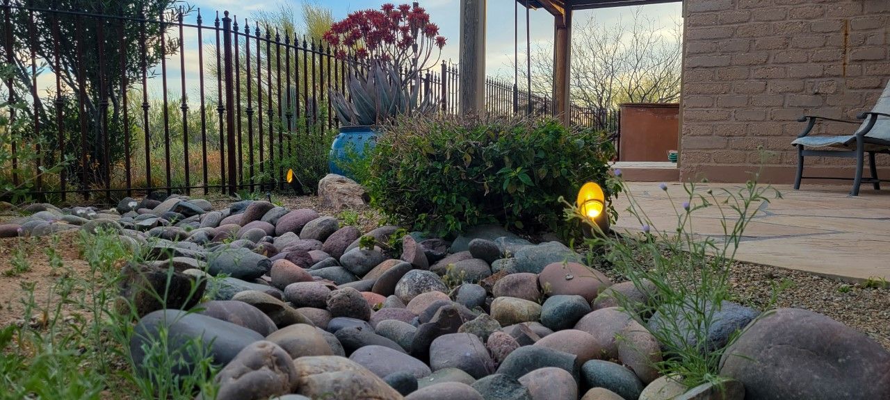 A dry riverbed of rocks winds through a landscaped backyard with lush greenery and a textured wall.