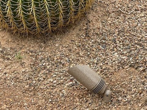 Barrel cactus beside a broken outdoor light fixture on a bed of small gravel.