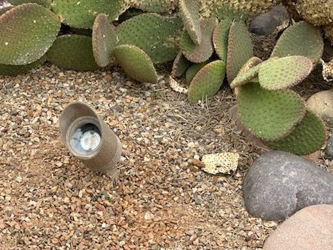 Outdoor spotlight in gravel bed, next to cactus plants and rocks.