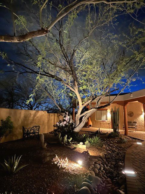Nighttime view of a yard with a large tree illuminated by spotlights, beside a low wall and a brick walkway.